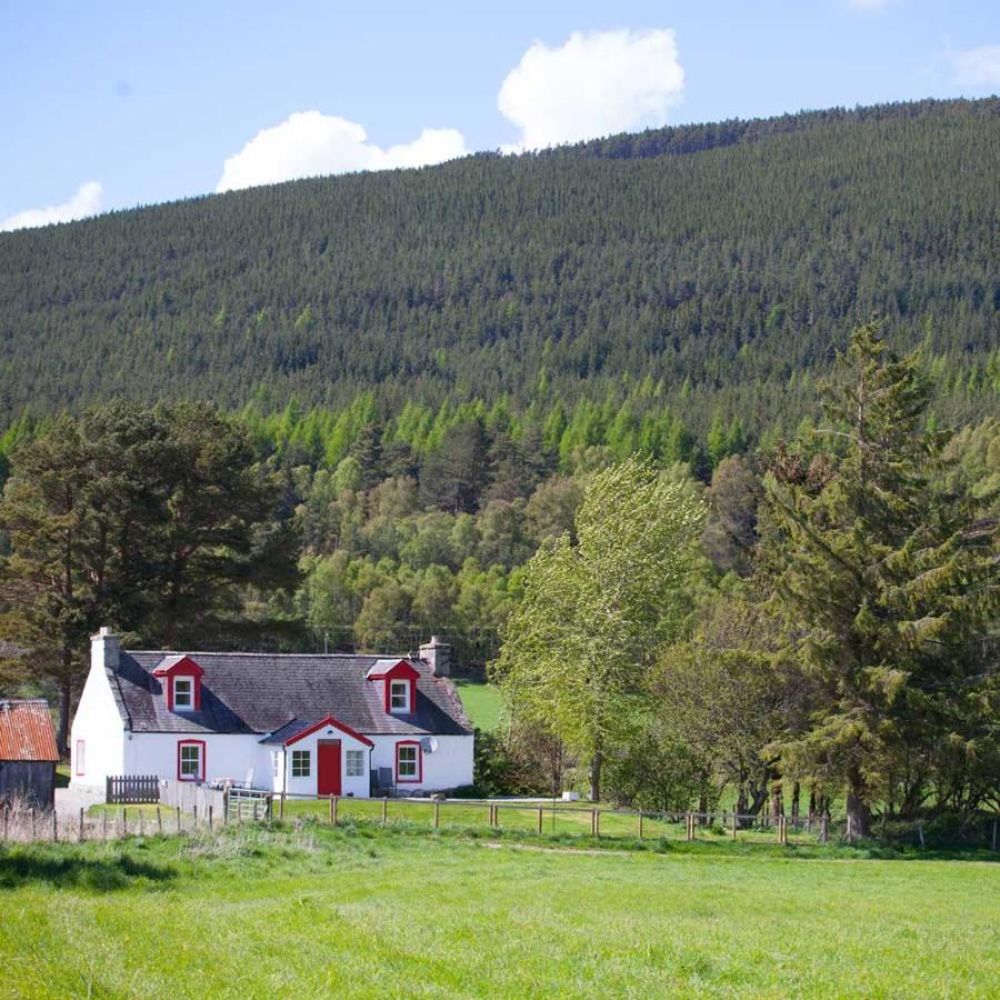 The Croft Cottage - Near Aviemore Kültér fotó
